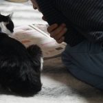 モモとヤンヤン&nbsp;